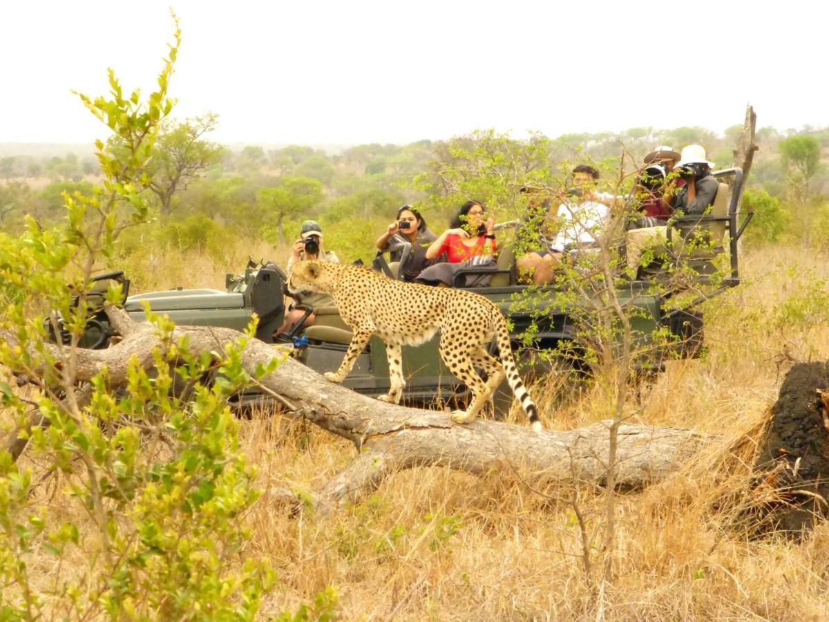 Umkumbe Safari Lodge Riverside Skukuza Exteriér fotografie