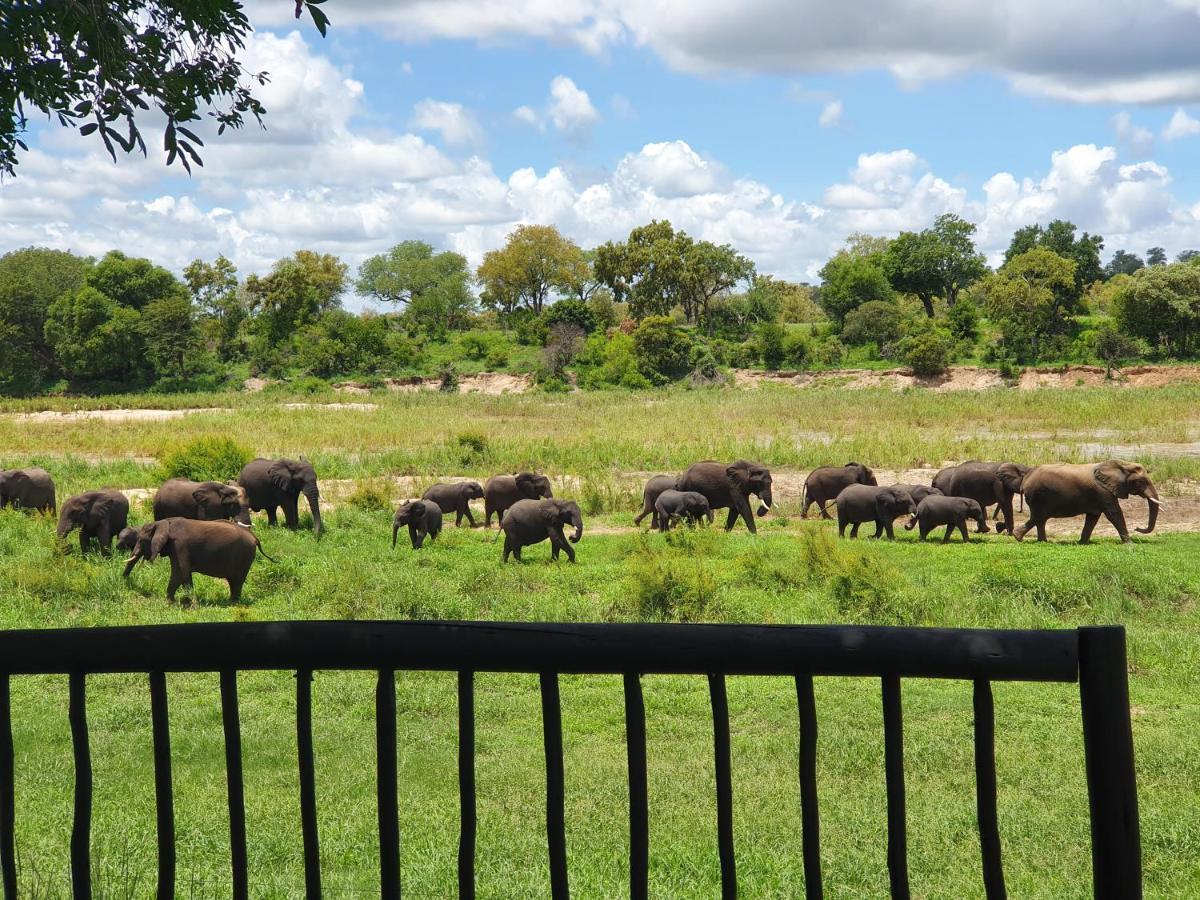 Umkumbe Safari Lodge Riverside Skukuza Exteriér fotografie